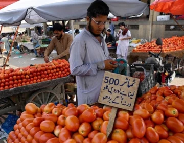 fresh red tomatoes in market with high price tag in pakistan