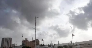 Cloudy sky over Karachi streets with high palm trees swaying in strong sea winds.