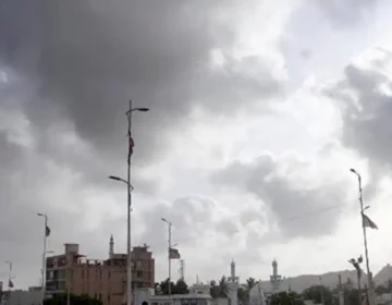 Cloudy sky over Karachi streets with high palm trees swaying in strong sea winds.