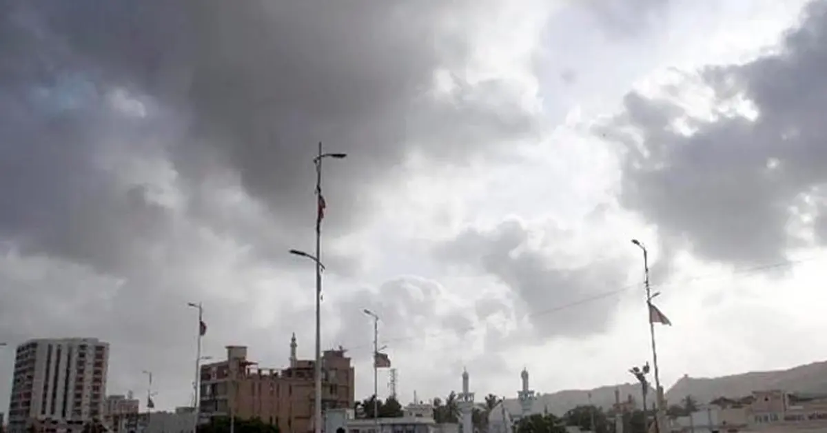 Cloudy sky over Karachi streets with high palm trees swaying in strong sea winds.