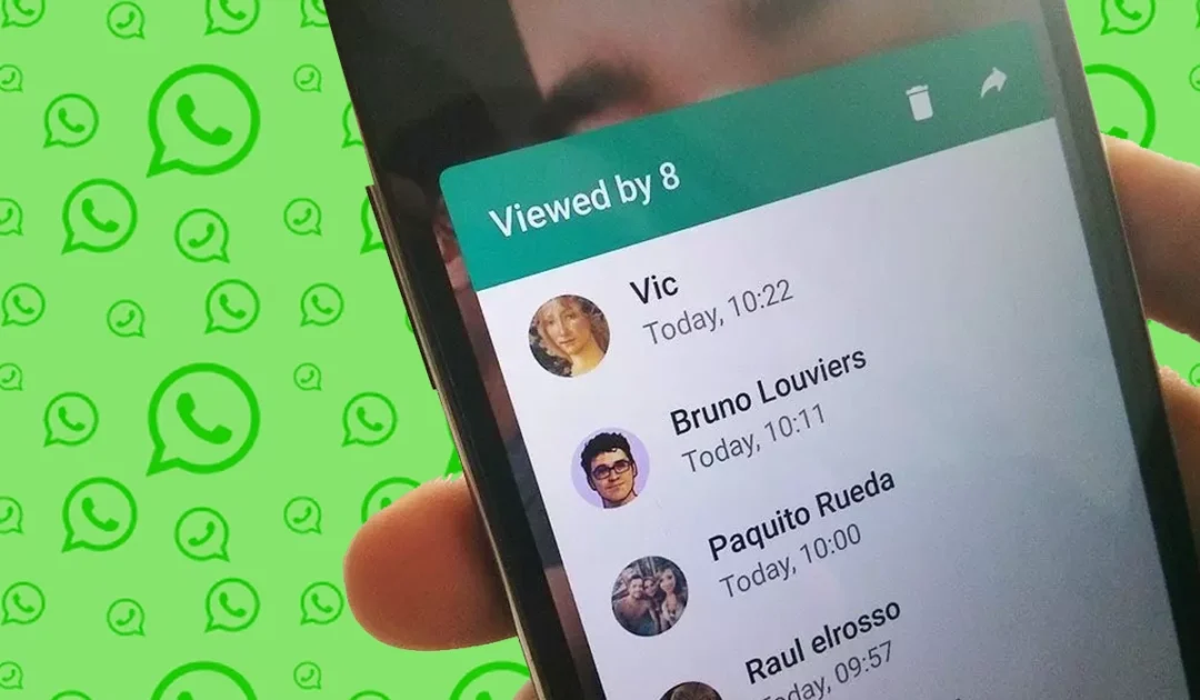 A mobile phone screen showing WhatsApp app icon with status update user interface