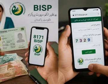 BISP 8171 August 2026 payment check CNIC